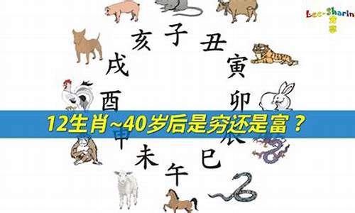 言归于好什么生肖-言归于好猜一肖