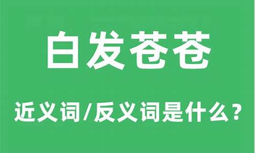 白发苍苍的意思解释-白发苍苍的意思解释词