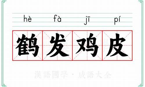 鹤发鸡皮打一数字-鹤发鸡皮打正确答案生肖