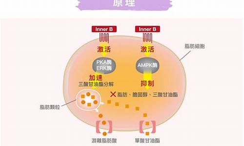 别具匠心肽-别具匠心上一句