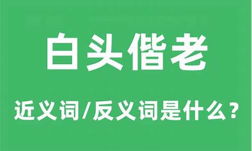 白头偕老例句-白头偕老的意思及造句