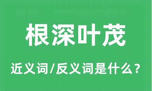 根深叶茂的意思是什么解释-根深叶茂的意思是什么意思