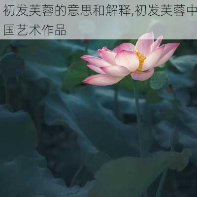 初发芙蓉的意思和解释,初发芙蓉中国艺术作品