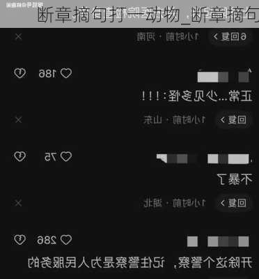 断章摘句打一动物_断章摘句