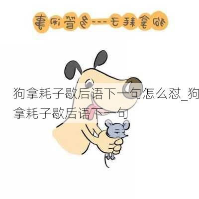 狗拿耗子歇后语下一句怎么怼_狗拿耗子歇后语下一句