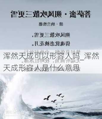 浑然天成可以形容人吗_浑然天成形容人是什么意思