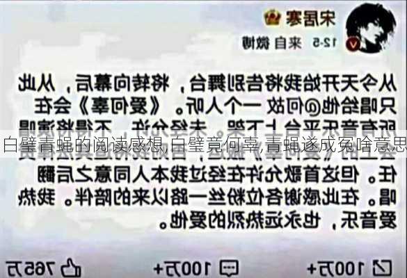 白璧青蝇的阅读感想,白璧竟何辜,青蝇遂成冤啥意思