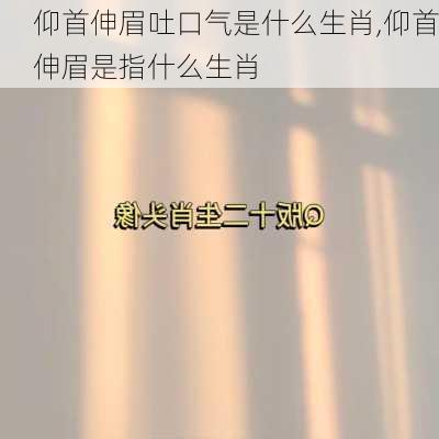 仰首伸眉吐口气是什么生肖,仰首伸眉是指什么生肖