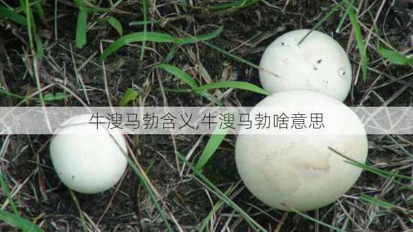 牛溲马勃含义,牛溲马勃啥意思