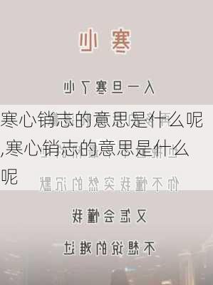 寒心销志的意思是什么呢,寒心销志的意思是什么呢