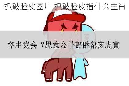 抓破脸皮图片,抓破脸皮指什么生肖