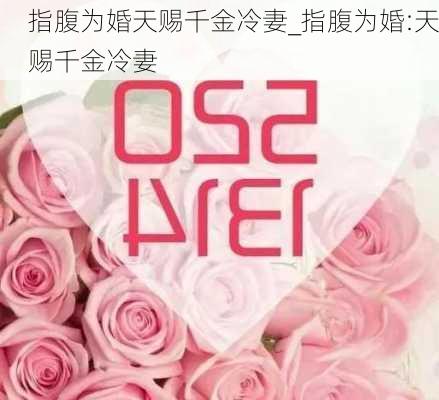 指腹为婚天赐千金冷妻_指腹为婚:天赐千金冷妻