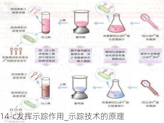 14-c发挥示踪作用_示踪技术的原理