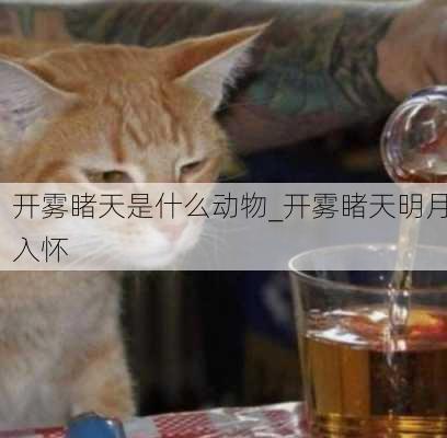 开雾睹天是什么动物_开雾睹天明月入怀