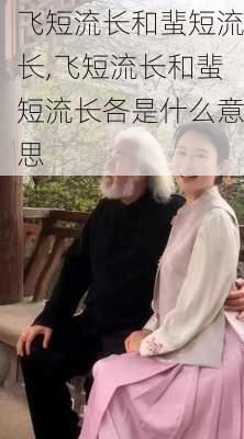 飞短流长和蜚短流长,飞短流长和蜚短流长各是什么意思