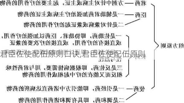 君臣佐使配伍原则口诀,君臣佐使配伍原则