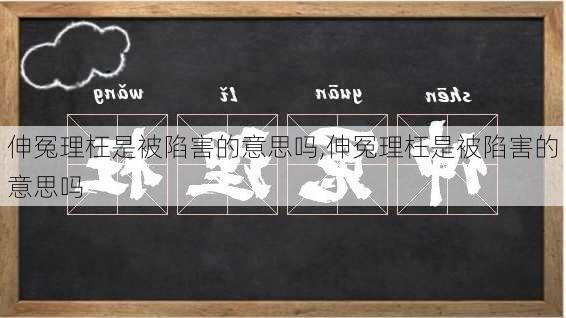 伸冤理枉是被陷害的意思吗,伸冤理枉是被陷害的意思吗