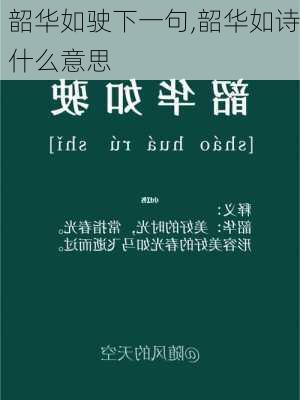 韶华如驶下一句,韶华如诗什么意思