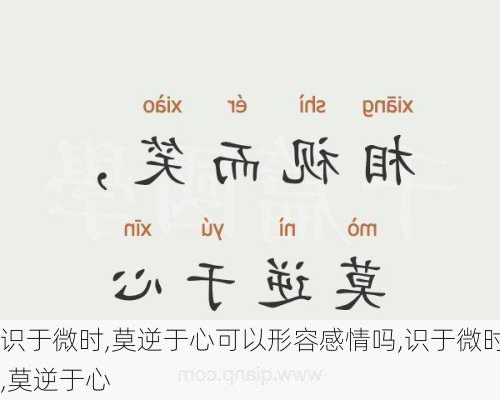 识于微时,莫逆于心可以形容感情吗,识于微时,莫逆于心