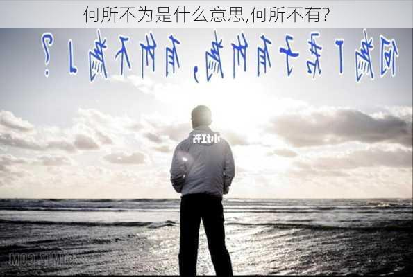 何所不为是什么意思,何所不有?