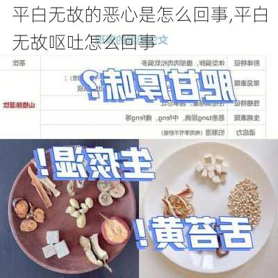 平白无故的恶心是怎么回事,平白无故呕吐怎么回事