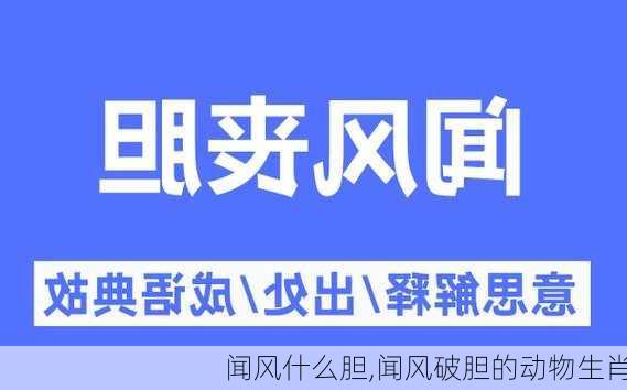 闻风什么胆,闻风破胆的动物生肖