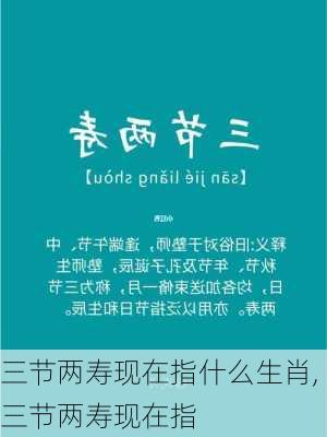 三节两寿现在指什么生肖,三节两寿现在指