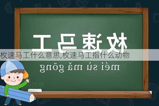 枚速马工什么意思,枚速马工指什么动物