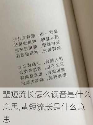 蜚短流长怎么读音是什么意思,蜚短流长是什么意思