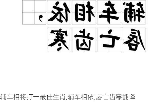 辅车相将打一最佳生肖,辅车相依,唇亡齿寒翻译