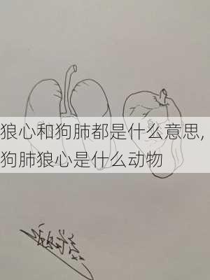 狼心和狗肺都是什么意思,狗肺狼心是什么动物