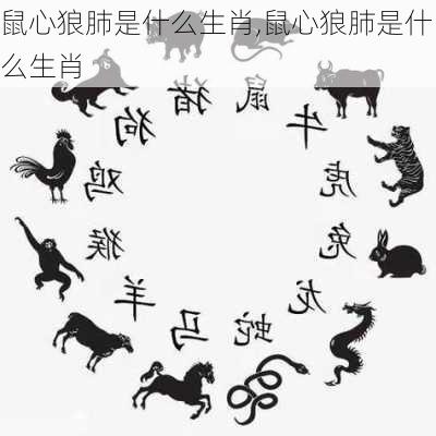 鼠心狼肺是什么生肖,鼠心狼肺是什么生肖