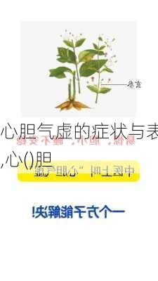 心胆气虚的症状与表现,心()胆