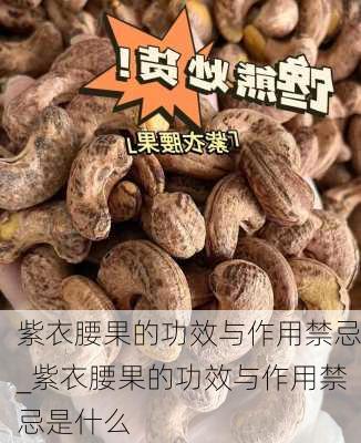 紫衣腰果的功效与作用禁忌_紫衣腰果的功效与作用禁忌是什么