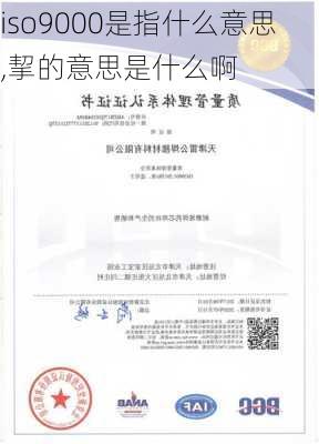 iso9000是指什么意思,挈的意思是什么啊