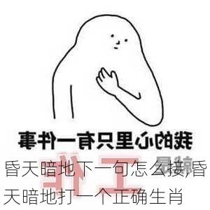 昏天暗地下一句怎么接,昏天暗地打一个正确生肖