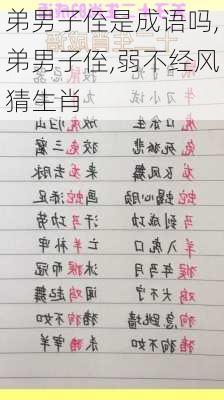 弟男子侄是成语吗,弟男子侄,弱不经风猜生肖