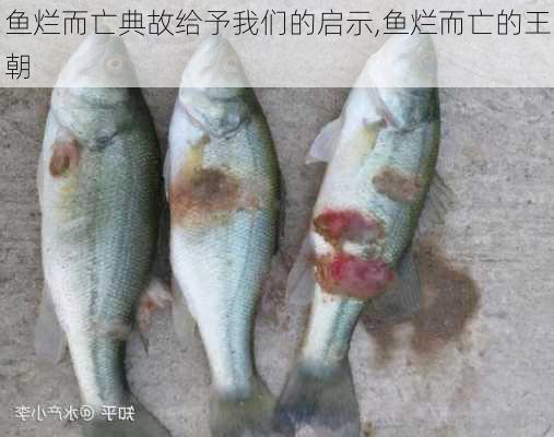 鱼烂而亡典故给予我们的启示,鱼烂而亡的王朝