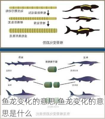 鱼龙变化的意思,鱼龙变化的意思是什么