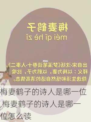 梅妻鹤子的诗人是哪一位,梅妻鹤子的诗人是哪一位怎么读