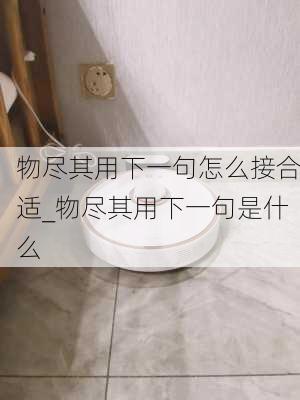 物尽其用下一句怎么接合适_物尽其用下一句是什么