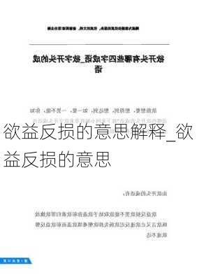 欲益反损的意思解释_欲益反损的意思