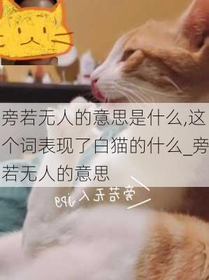 旁若无人的意思是什么,这个词表现了白猫的什么_旁若无人的意思