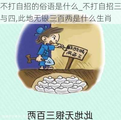 不打自招的俗语是什么_不打自招三与四,此地无银三百两是什么生肖