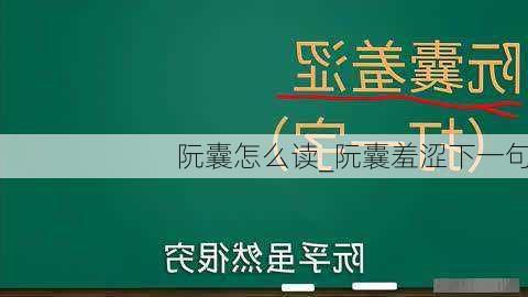 阮囊怎么读_阮囊羞涩下一句