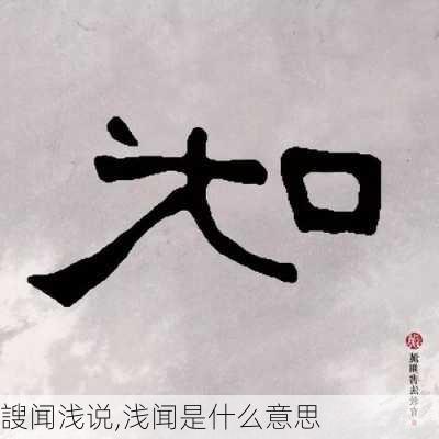 謏闻浅说,浅闻是什么意思