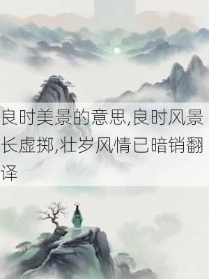 良时美景的意思,良时风景长虚掷,壮岁风情已暗销翻译