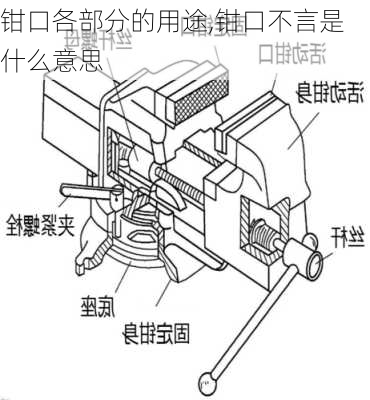 钳口各部分的用途,钳口不言是什么意思