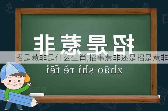 招是惹非是什么生肖,招事惹非还是招是惹非