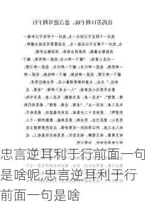 忠言逆耳利于行前面一句是啥呢,忠言逆耳利于行前面一句是啥